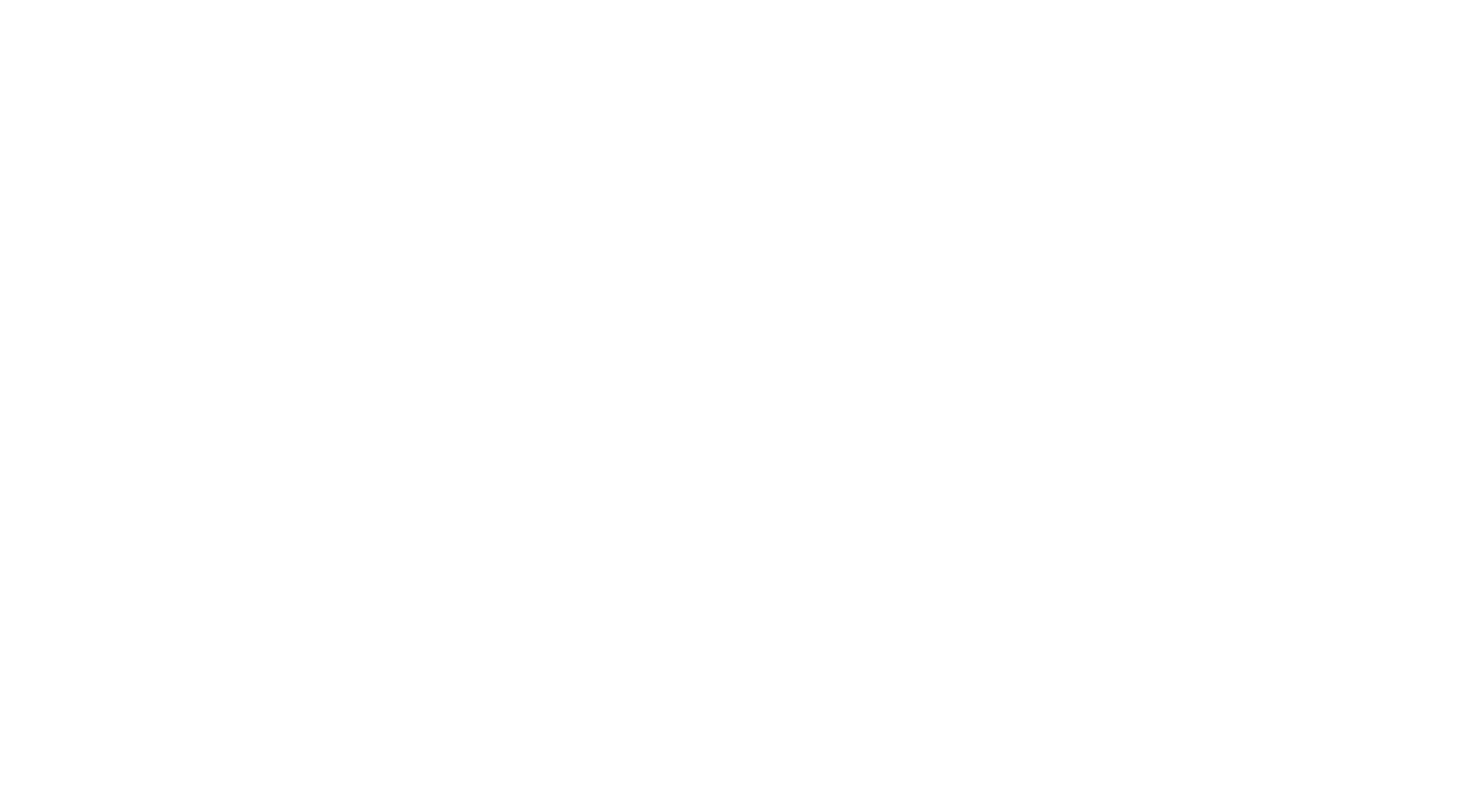 BN Care Group white logo
