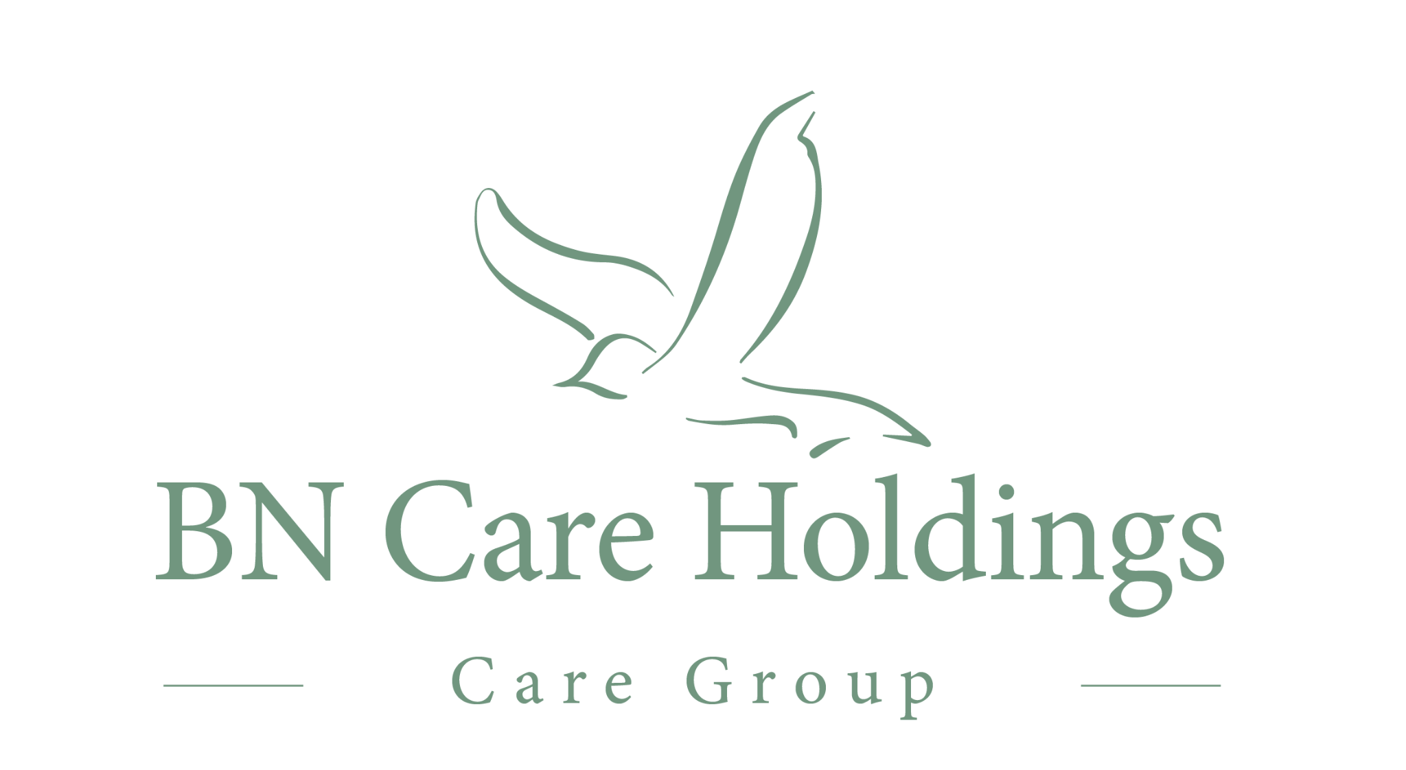 BN Care Group logo